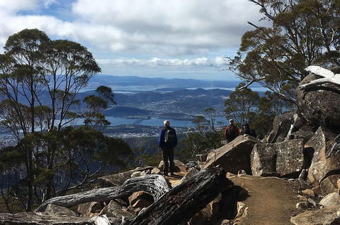 Kunanyi/Mt Wellington Explorer Bus - One Way Tour - Restaurant Canberra 2
