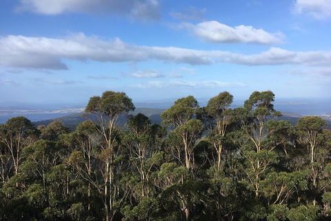 Kunanyi/Mt Wellington Explorer Bus - One Way Tour - Restaurant Canberra 5