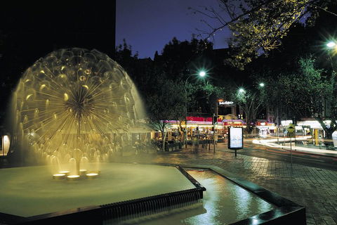 Private Tour: Sydney At Night - Restaurant Canberra 1