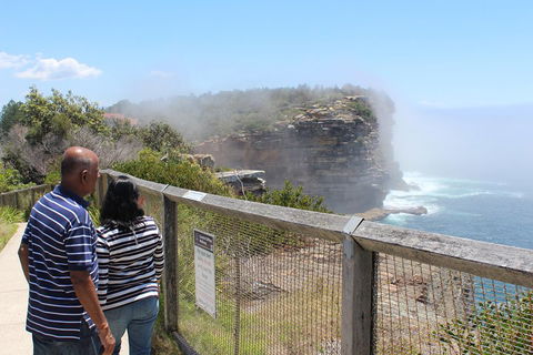Sydney Shore Excursion: Half-Day Sydney City Highlights With Bondi Beach And Watsons Bay - Restaurant Canberra 0