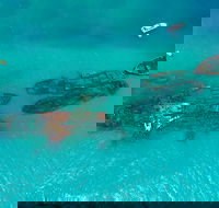 Private Tangalooma Wrecks Tour - Restaurant Canberra