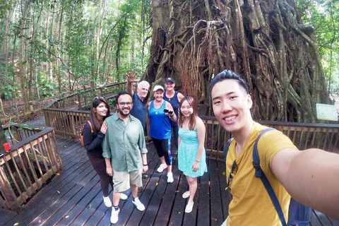Cairns 4WD Waterfall And Rainforest Tour Including Kuranda Scenic Railway - Restaurant Canberra 0