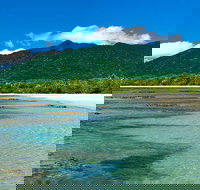 8-Day Cairns Tour Great Barrier Reef Kuranda Daintree Rainforest - Restaurant Canberra