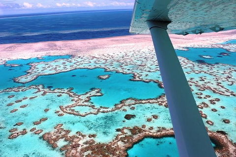 8-Day Cairns Tour: Great Barrier Reef, Kuranda, Daintree Rainforest - Restaurant Canberra 2
