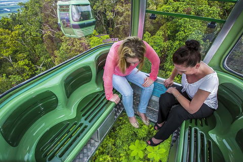 8-Day Cairns Tour: Great Barrier Reef, Kuranda, Daintree Rainforest - Restaurant Canberra 3