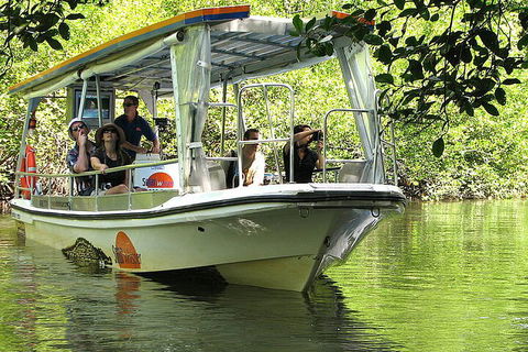 8-Day Cairns Tour: Great Barrier Reef, Kuranda, Daintree Rainforest - Restaurant Canberra 5