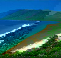 Cairns Reef and Rainforest Combo Daintree Rainforest and the Great Barrier Reef - Restaurant Canberra