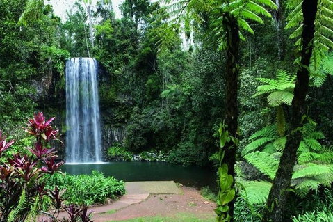 Paronella Park And Millaa Millaa Falls Full-day Tour From Cairns - Restaurant Canberra 3