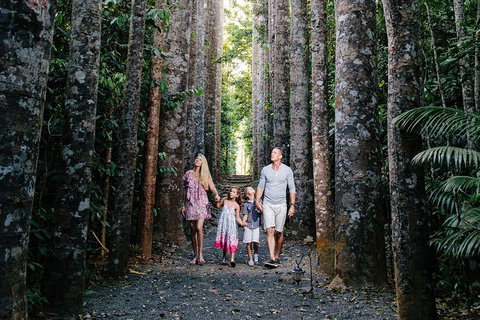 Paronella Park And Millaa Millaa Falls Full-day Tour From Cairns - Restaurant Canberra 5