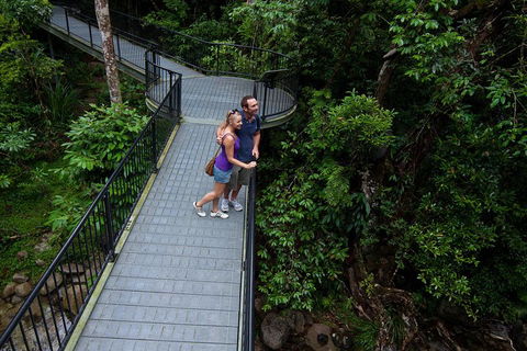 Cape Tribulation, Mossman Gorge, And Daintree Rainforest Premium Day Tour - Restaurant Canberra 3