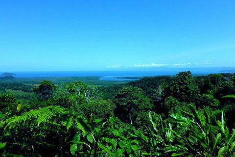 Cape Tribulation, Mossman Gorge, And Daintree Rainforest Premium Day Tour - Restaurant Canberra 5
