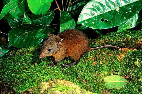 3-Day Small-Group Tour Of North Queensland With Pick Up - Restaurant Canberra 0