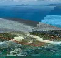 4-Day Cairns with Great Barrier Reef and Daintree Rainforest - Restaurant Canberra