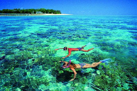 4-Day Cairns With Great Barrier Reef And Daintree Rainforest - Restaurant Canberra 2