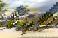 1 Day Exclusively Private Tour Of Phillip Island  The Penguin Parade, Melbourne