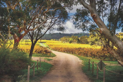 McLaren Vale Winery Small Group Tour With Wine Tasting And Lunch - Restaurant Canberra 1