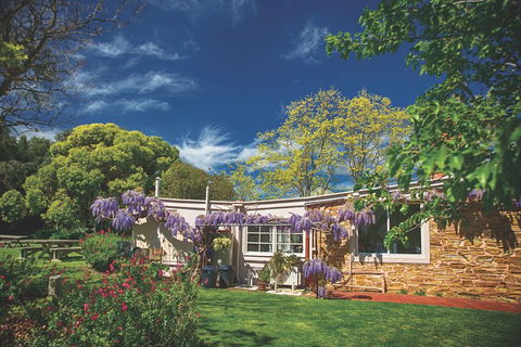 McLaren Vale Winery Small Group Tour With Wine Tasting And Lunch - Restaurant Canberra 2