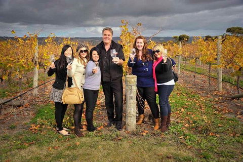 McLaren Vale Winery Small Group Tour With Wine Tasting And Lunch - Restaurant Canberra 3
