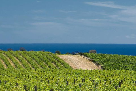 McLaren Vale Winery Small Group Tour With Wine Tasting And Lunch - Restaurant Canberra 4