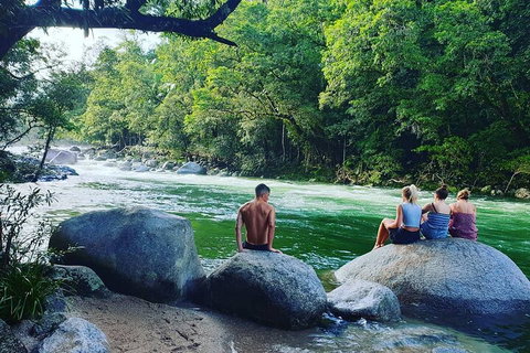 Afternoon Half-Day Daintree Rainforest And River Tour - Restaurant Canberra 0