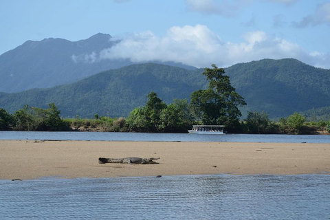 Afternoon Half-Day Daintree Rainforest And River Tour - Restaurant Canberra 2