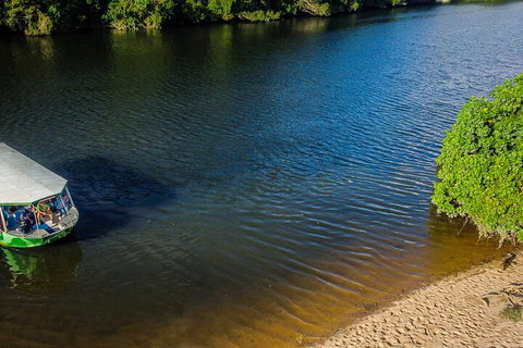 Afternoon Half-Day Daintree Rainforest And River Tour - Restaurant Canberra 3