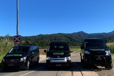 Afternoon Half-Day Daintree Rainforest And River Tour - Restaurant Canberra 4