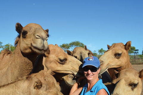 Broome Pre-sunset Camel Tour 30 Minutes - Restaurant Canberra 0