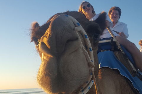 Broome Pre-sunset Camel Tour 30 Minutes - Restaurant Canberra 1
