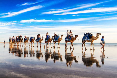 Broome Pre-sunset Camel Tour 30 Minutes - Restaurant Canberra 2