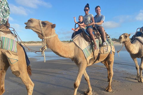 Broome Pre-sunset Camel Tour 30 Minutes - Restaurant Canberra 3