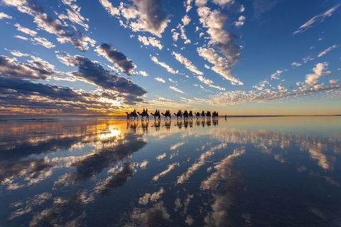 Broome Pre-sunset Camel Tour 30 Minutes - Restaurant Canberra 4