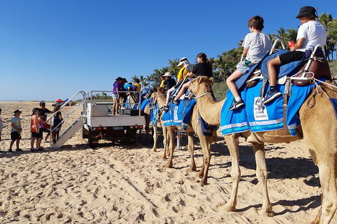 Broome Pre-sunset Camel Tour 30 Minutes - Restaurant Canberra 5