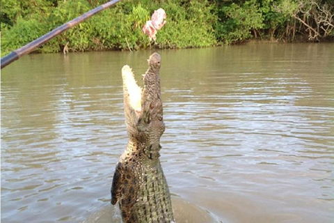 Litchfield National Park And Jumping Crocodile Cruise - Restaurant Canberra 2