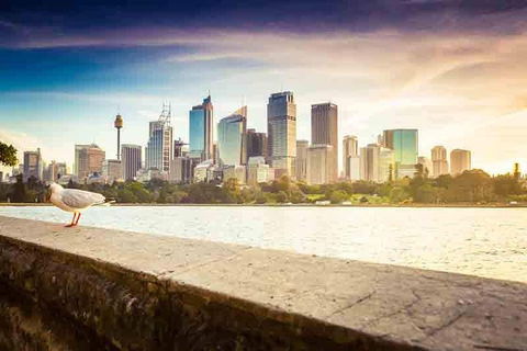 Private Sydney City And Bondi Beach Half Day Tour - Restaurant Canberra 2