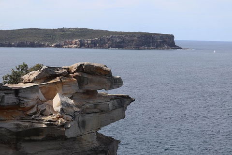 Private Sydney City And Bondi Beach Half Day Tour - Restaurant Canberra 3