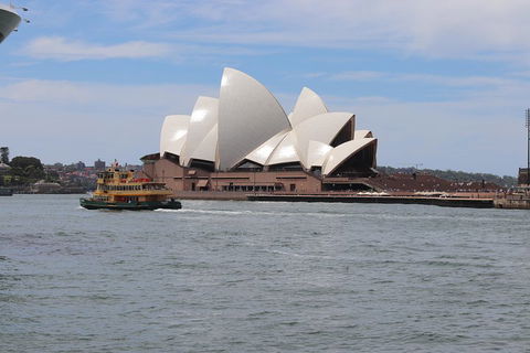 Private Sydney City And Bondi Beach Half Day Tour - Restaurant Canberra 5