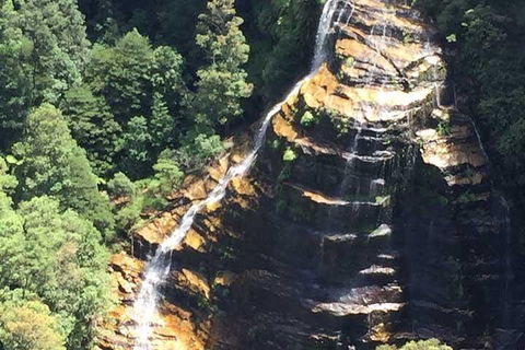 Private Blue Mountains Tour With Kangaroo And Koala Experience - Restaurant Canberra 5