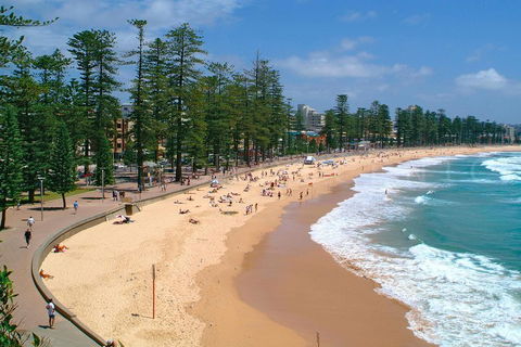 Private Sydney Full Day Tour Including Sydney Opera House, Bondi And Manly - Restaurant Canberra 3