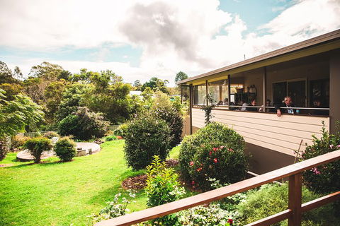 Full-day Springbrook National Park Tour From The Gold Coast - Restaurant Canberra 2