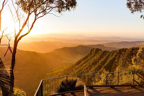 O'Reilly's & Lamington National Park Incl. Alpaca Farm + Vineyard - Restaurant Canberra 0