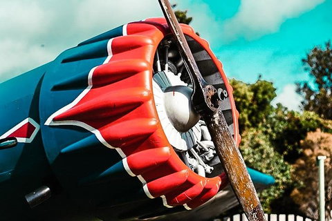 O'Reilly's & Lamington National Park Incl. Alpaca Farm + Vineyard - Restaurant Canberra 1