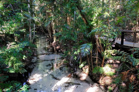 Fraser Island 4WD Tour From Rainbow Beach - Restaurant Canberra 0