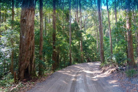 Fraser Island 4WD Tour From Rainbow Beach - Restaurant Canberra 4