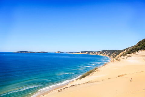 Kayak With Dolphins And 4WD Great Beach Drive Day Trip From Noosa - Restaurant Canberra 0