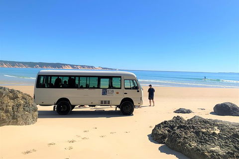 Kayak With Dolphins And 4WD Great Beach Drive Day Trip From Noosa - Restaurant Canberra 4