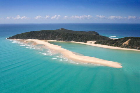 Kayak With Dolphins And 4WD Great Beach Drive Day Trip From Noosa - Restaurant Canberra 5