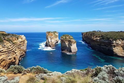 Great Ocean Road Adventure - Private Tour - Reverse - Restaurant Canberra 1