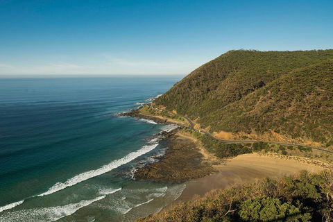 Great Ocean Road Adventure - Private Tour - Reverse - Restaurant Canberra 2