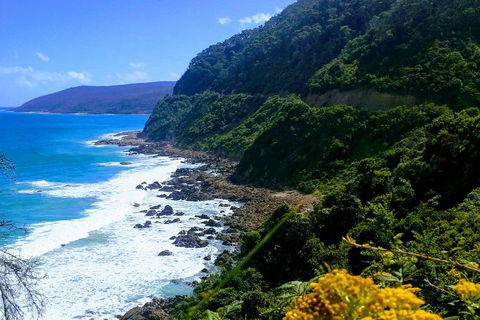 Great Ocean Road Adventure - Private Tour - Reverse - Restaurant Canberra 3